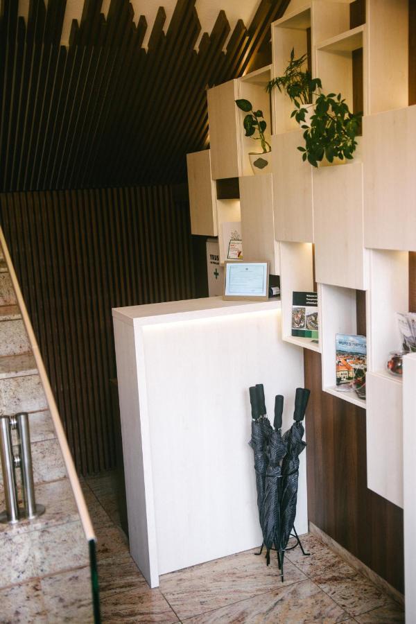 Amethyst Bed and Breakfast Sovata Buitenkant foto