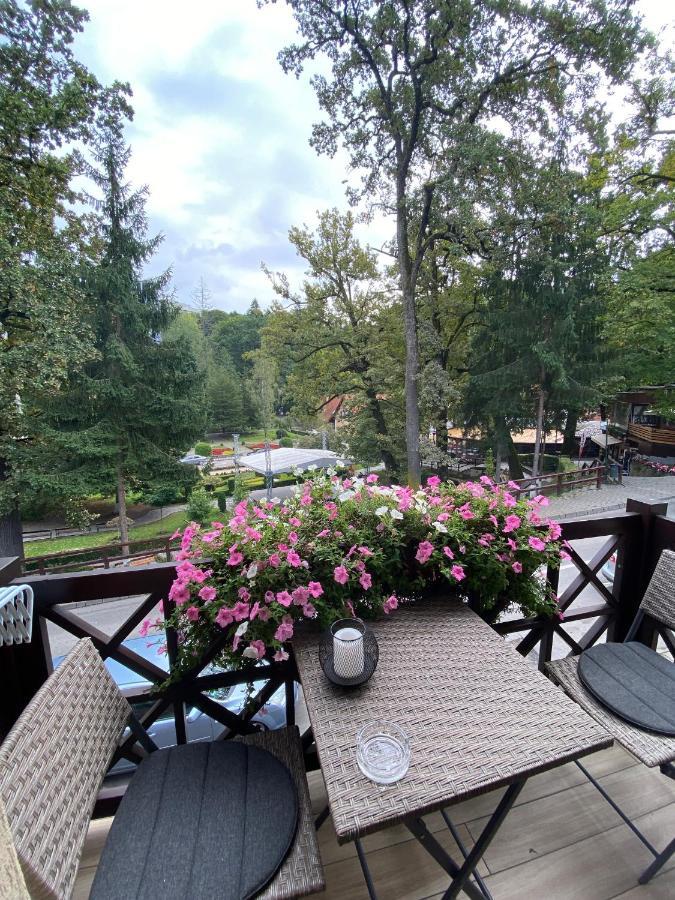 Amethyst Bed and Breakfast Sovata Buitenkant foto